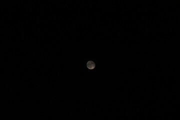 full moon in the night