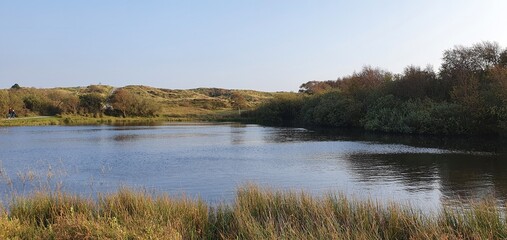 Sint Maartenszee Holland October 2021 romantic dune landscape in the evening in beautiful autumn weather with blue sky