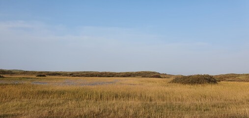 Fototapeta premium Sint Maartenszee Holland October 2021 romantic dune landscape in the evening in beautiful autumn weather with blue sky