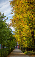 Wonderfully beautiful and sunny October day in Vilnius. The trees are adorned with autumn gold.