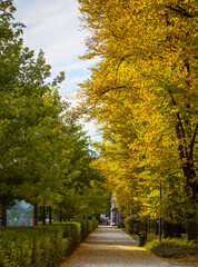 Wonderfully beautiful and sunny October day in Vilnius. The trees are adorned with autumn gold.
