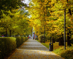 Wonderfully beautiful and sunny October day in Vilnius. The trees are adorned with autumn gold.