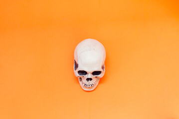 White skull on the orange background. Halloween concept