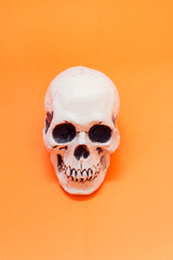 White skull on the orange background. Halloween concept