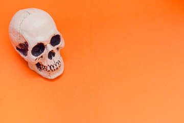 White skull on the orange background. Halloween concept