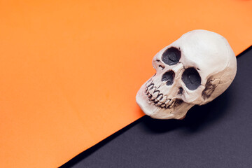 White skull on the black and orange diagonal background. Halloween concept