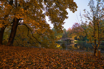 Brücke und Teich an einem Herbsttag -  Leipzig,  Johanna Park (Clara-Zetkin-Park)