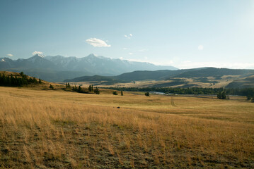View of the steppe, mountains and the Altai river on a sunny day