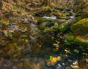 Forest river in autumn with moss-covered stones