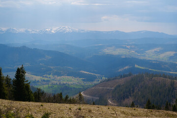 Fototapeta na wymiar Carpathian Mountains in Ukraine, Polonina Borzhava