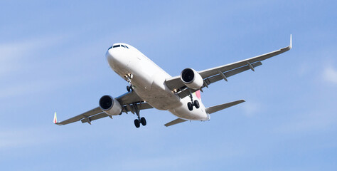 Fototapeta na wymiar passenger plane lands at airport