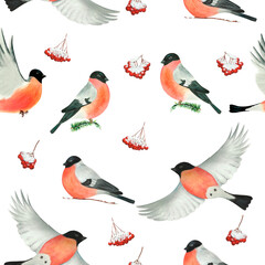 watercolor pattern of bullfinches, winter pattern