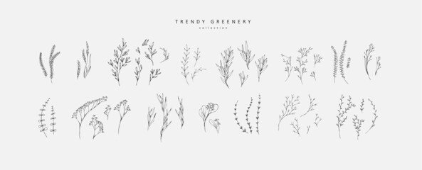 Floral branch. Hand drawn wedding herb, homeplant with elegant leaves for invitation save the date card design. Botanical rustic