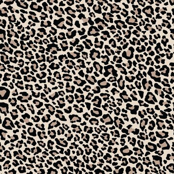 leopard spots. vector print for clothes or print  