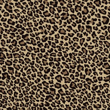 Leopard print vector seamless. Fashionable background for fabric, paper, clothes. Sample of animals