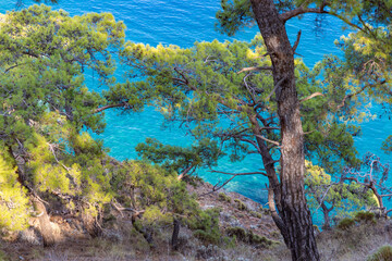 Beautiful nature landscape of Turkey coastline. View from Lycian way to small bay with turquoise water . This is ancient trekking path famous among hikers.