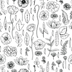 Graphic botanical sketches pattern