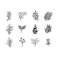 Hand drawn floral ornaments. Branches and leaves doodle collection. Decorative plants illustrations.
