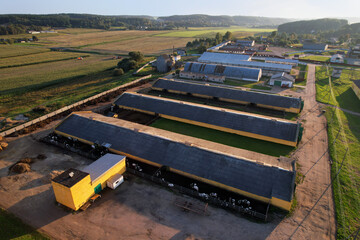 Agricultural Buildings with farm animals. Farm Storage Building with Cows, chicken and pigs. Hay Barns in rural. Cowshed and Animal husbandry. Farm of cattle and Cow Dairy. Agronomy concept.