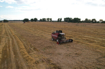 Obraz premium Combine harvester working in wheat field. Harvesting machine during cutting crop in farmland. Aerial view of Combines on grain harvesting. Harvester on ingathering oil seed rape (canola) in field.