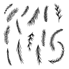 Christmas tree branches isolated on white background. Realistic vector fir tree, pine tree. Easy to create frames, borders, wreaths. For Christmas cards, banners, flyers, party posters.