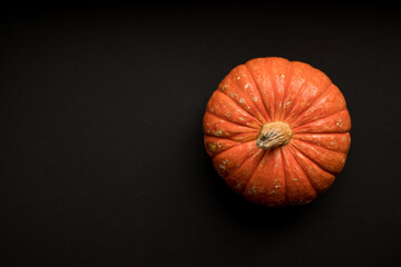 Pumpkin on a black background. Halloween Concept