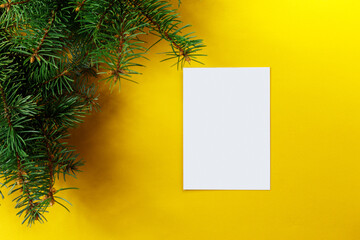 Spruce twigs on an isolated backdrop. Minimalist new year concept. Copy space. Top view. New Year frame or Christmas Mockup.