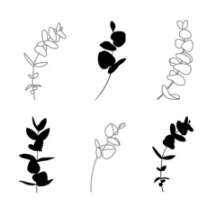 Eucalyptus branches set monochrome on white background. Sprig set line drawing. 