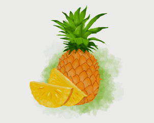 Vector watercolor illustration of pineapple with two slices. Isolated on white