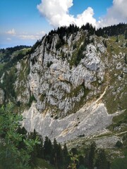 Massif de Chartreuse - Alpage du Charmant Som