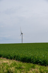Fototapeta na wymiar Single wind turbine in green farm field during summer in Sweden