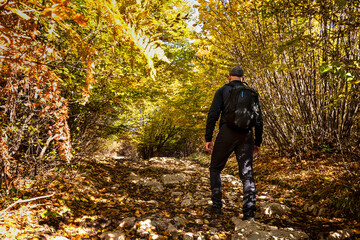 A hiker on a forest trail on a lovely autumn day.