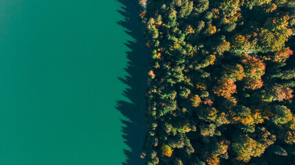 Bird view of the volcanic lake Saint Anne in Romania next to a forest during a sunny day
