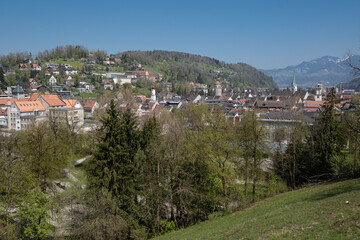 Blick auf Feldkirch - 465770366