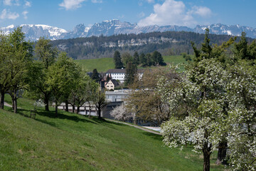 Blick auf Feldkirch - 465770384