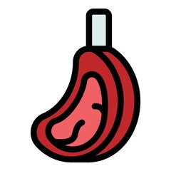 Steak meat icon. Outline steak meat vector icon color flat isolated