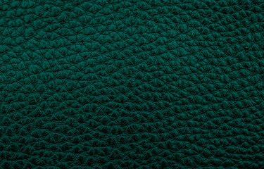 Leather green texture close-up, green skin.