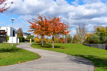 autumn in the park