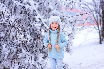 beautiful caucasian little girl in a blue sweater and a hat stands near a snow-covered Christmas tree in the forest and holds pigtails
