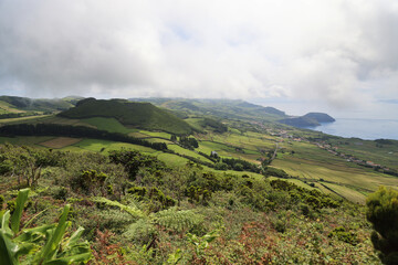 Fototapeta na wymiar Typical landscape of the island of Sao Jorge, Azores