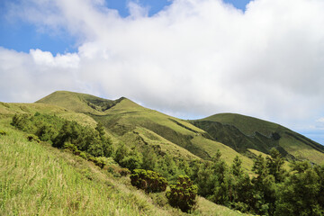 Fototapeta na wymiar Typical landscape, Sao Jorge island, Azores