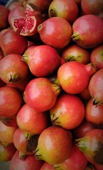 Pomegranate