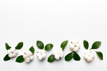 Autumn Floral Flat lay background composition. Dried white fluffy cotton flower branchwith green...