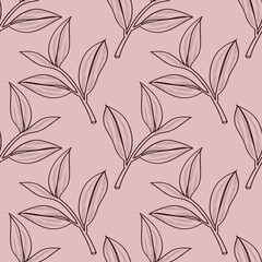 Vector illustration of a branch of a tea tree. Image on a white background.Stil' gravyury.Seamless pattern.