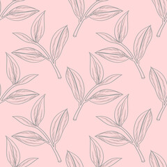 Vector illustration of a branch of a tea tree. Image on a white background.Stil' gravyury.Seamless pattern.