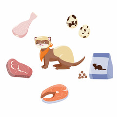 Ferret feeding, polecat, fitch, foumart food. Domestic marten. Cartoon cute animal. Stock vector illustration on a white background.