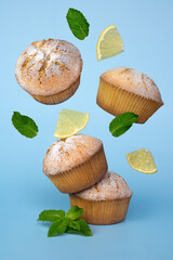 lemon muffins levitate on a blue background, lemon mint cupcakes