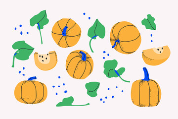 Set of decorative yellow pumpkins, slices and leaves. Vegetables isolated on white background. For design