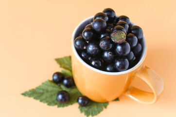 Orange mug filled with currant berries on an orange background close-up. The concept of using vitamin C in natural ingredients