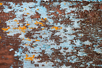 Old paint peeling off of a wooden plate. Blue and brown surface. 